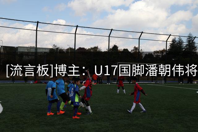 [流言板]博主：U17国脚潘朝伟将前往法国欧塞尔俱乐部进行正式试训